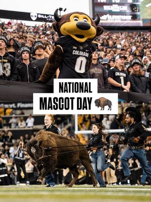 Image post by @cubuffs on Instagram
