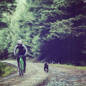 Image post by @vitusbikes on Instagram