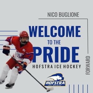 Image post by @hoficehockey on Instagram