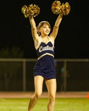 Image post by @brynnthepommie on Instagram