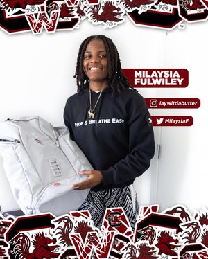 Image post by @gamecockwbb on Instagram