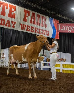 Image post by @MichiganStateFair on Facebook