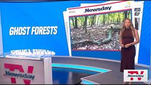 Video post by @newsday on YouTube