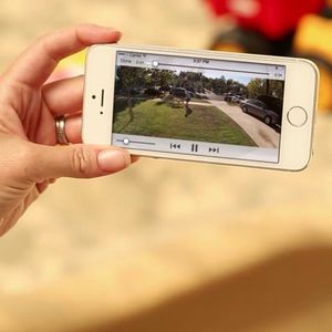 Image post by @ring on Instagram