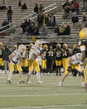 Image post by @orchardeight on Instagram