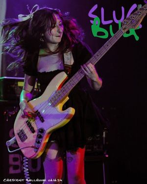 Image post by @volantevisuals on Instagram