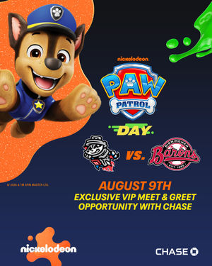 Image post by @trashpandasbaseball on Instagram