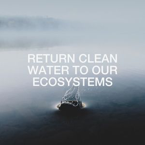 Image post by @ecoalf on Instagram