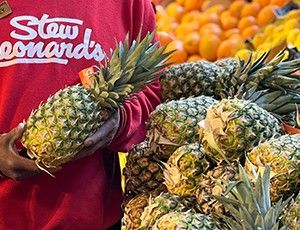 Image post by @stewleonards on Instagram