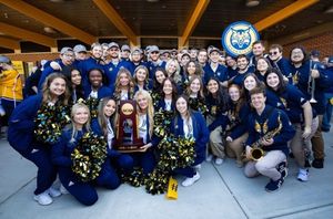 Image post by @qupepband on Instagram