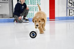 Image post by @pennstatewhky on Instagram