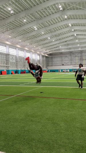 Video post by @miamidolphins on TikTok
