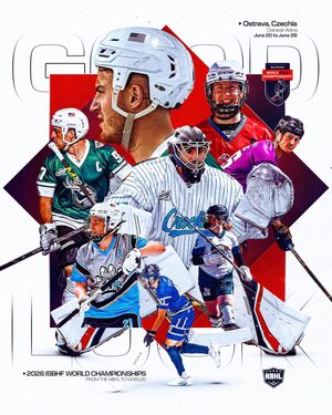 Image post by @nationalballhockeyleague on Instagram
