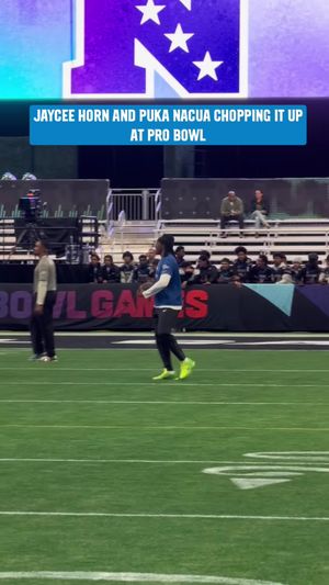 Video post by @panthers on TikTok