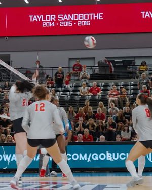Image post by @ohiostatewvb on Instagram