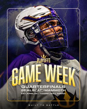 Image post by @sealslax on Instagram