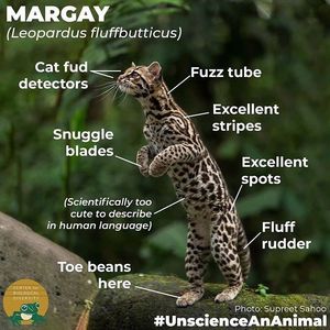 Image post by @centerforbiodiv on Instagram