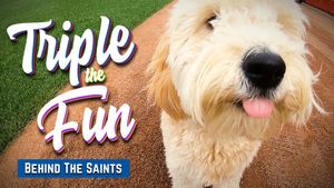 Image post by @stpaulsaints on Facebook
