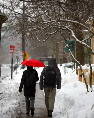 Image post by @harvard on Instagram