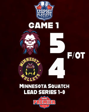 Image post by @usphlhockey on Instagram