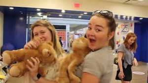 Video post by @uofscphimu8320 on YouTube