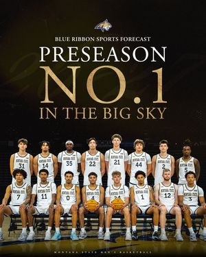 Image post by @msubobcatsmbb on Instagram