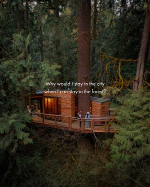 Image post by @treehousepoint on Instagram