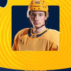 Image post by @predsnhl on Instagram