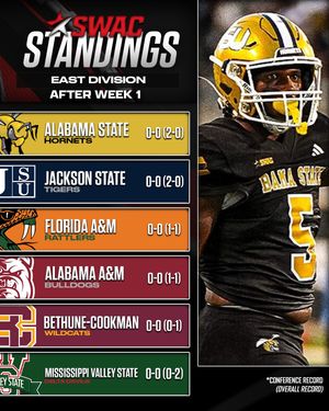 Image post by @theswac on Instagram