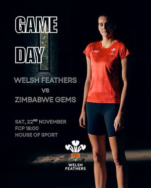 Image post by @walesnetball_ on Instagram