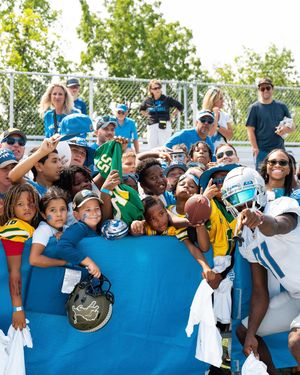 Image post by @lionscommunity on Instagram