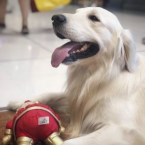 Image post by @mikethewhitegolden on Instagram