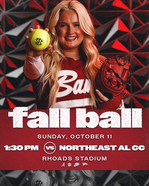 Image post by @bamasb on Instagram