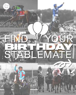 Image post by @worldhorseracing on Instagram