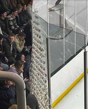 Image post by @barstoolberta on Instagram