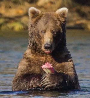Image post by @nationalparkservice on Instagram