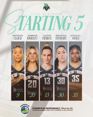 Image post by @nyliberty on Twitter