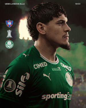 Image post by @palmeiras on Instagram