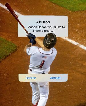 Image post by @gomaconbacon on Instagram