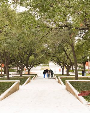 Image post by @utaustintx on Instagram