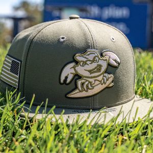 Image post by @blueclaws1 on Instagram