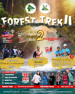 Image post by @thejamaicastar on Instagram