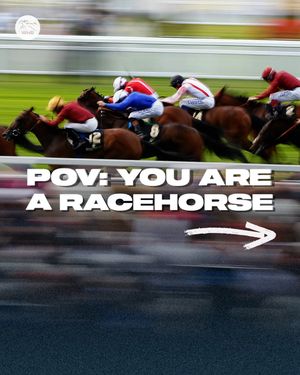 Image post by @worldhorseracing on Instagram