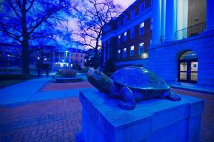 Image post by @marylandterrapins on Instagram