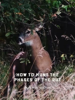 Image post by @realtreeoutdoors on Instagram