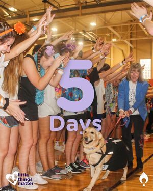 Image post by @clemsonmiracle on Instagram