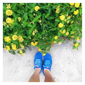 Image post by @catcatoura on Instagram
