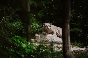Image post by @pennstate on Instagram