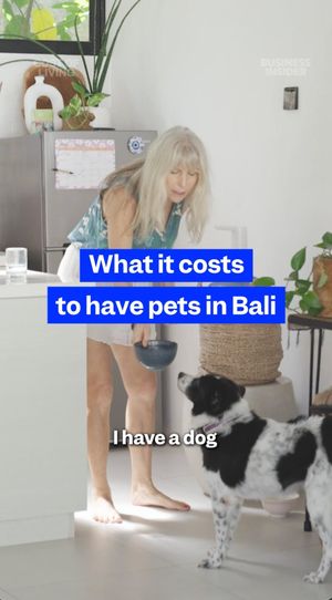 Image post by @businessinsider on Instagram
