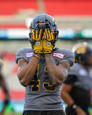 Image post by @hamiltontigercats on Instagram